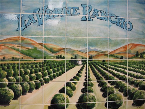 Image description is not available